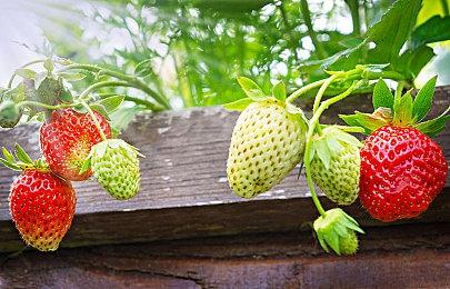 《地球防卫军4.1》Switch版发布两部新预告 12月22日发售